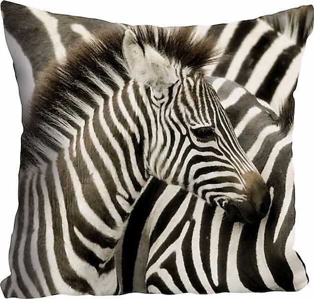 queence Dekokissen »Richard«, Kissenhülle,Zebras,Schwarz-Weiß,Tiere,Streife günstig online kaufen