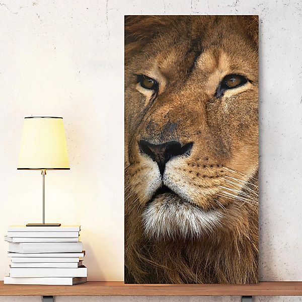 Leinwandbild Tiere - Hochformat Löwenblick günstig online kaufen