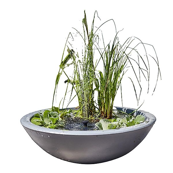 Heissner Solar-Wassergarten Lotusgarden günstig online kaufen