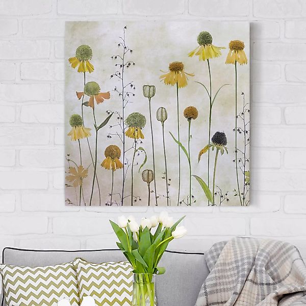 Leinwandbild Blumen - Quadrat Zarte Helenium Blüten günstig online kaufen
