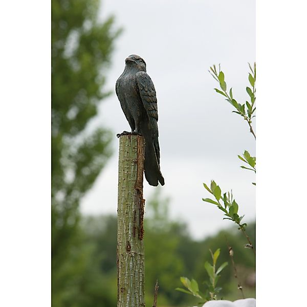 Rottenecker Bronze-Skulptur Turmfalke günstig online kaufen