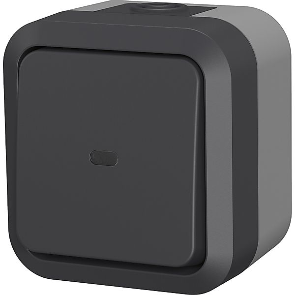 Lichtschalter Aqua Pro 2-polig Beleuchtet günstig online kaufen