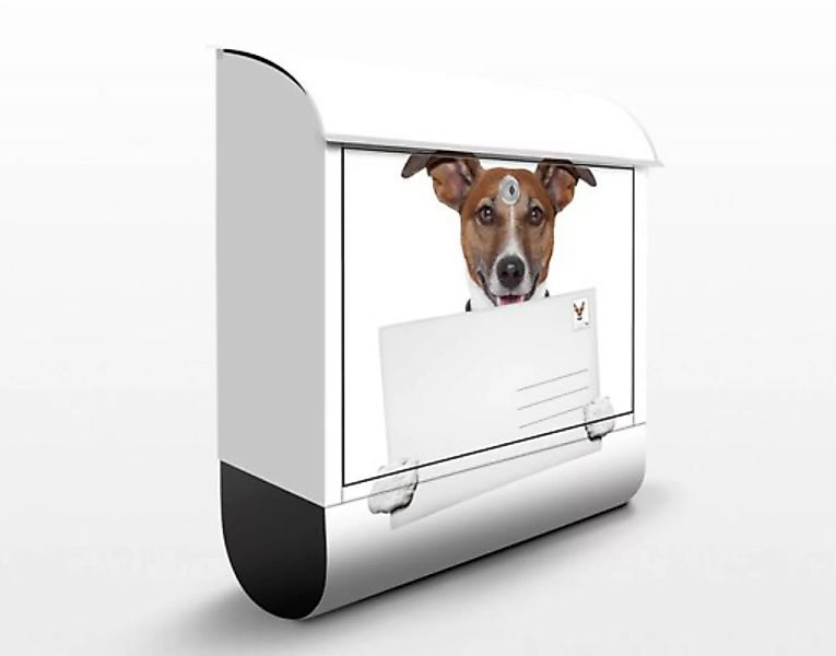 Briefkasten Tiere Hund mit Brief günstig online kaufen