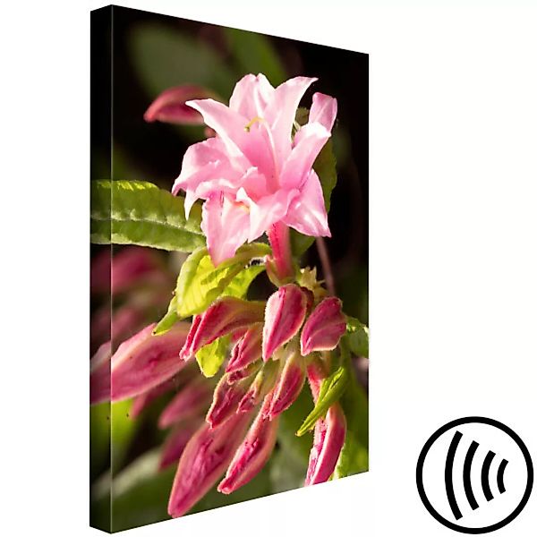 Leinwandbild Natural Pink (1 Part) vertical XXL günstig online kaufen