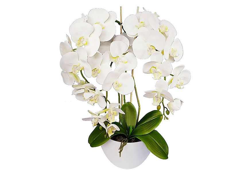 Kunstblume Orchidee, damich, Höhe 60 cm, Künstliche Orchidee im Blumentopf günstig online kaufen