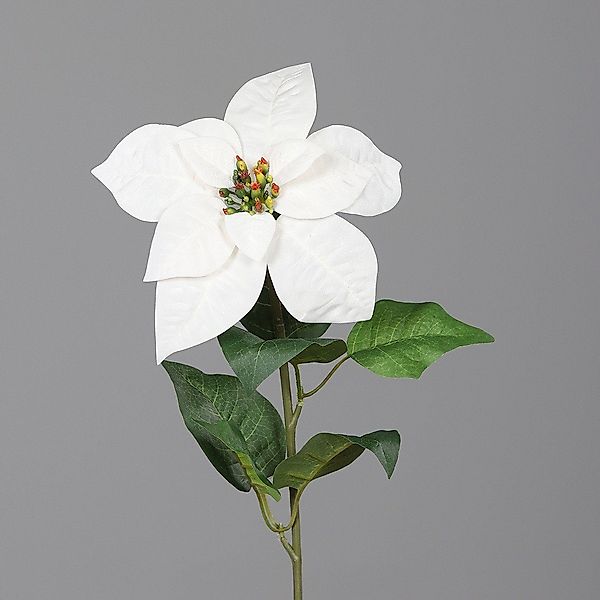 Kunstpflanze DPI Poinsettia creme 55 cm, günstig online kaufen