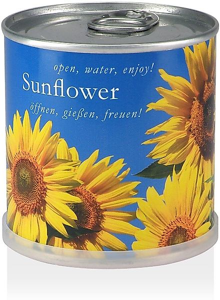 MacFlowers® Anzuchttopf Sonnenblumen - Blumen in günstig online kaufen