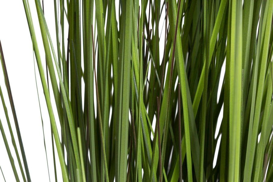 Kunstgras Gras Festuca Gras, Botanic-Haus, Höhe günstig online kaufen