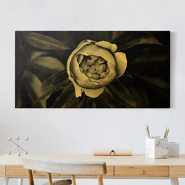 Leinwandbild Gold Pfingstrosenblüte vor Blättern Schwarz Weiß günstig online kaufen