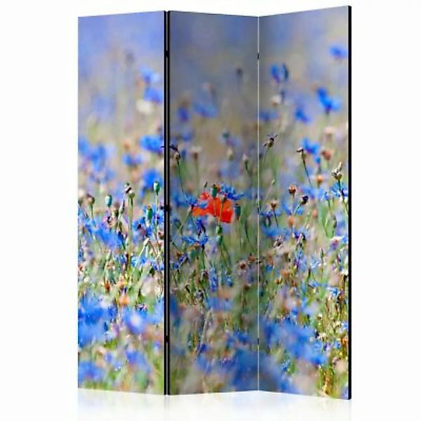 artgeist Paravent A sky-colored meadow - cornflowers [Room Dividers] mehrfa günstig online kaufen