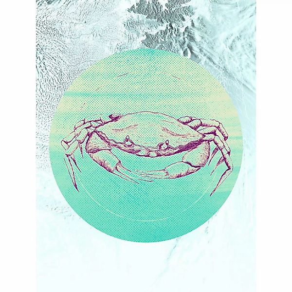 Komar Poster Crab Sea Tiere B/L: ca. 30x40 cm günstig online kaufen