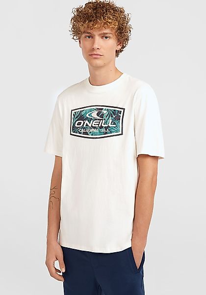 O'Neill T-Shirt O'NEILL GRAPHIC T-SHIRT (1-tlg) günstig online kaufen