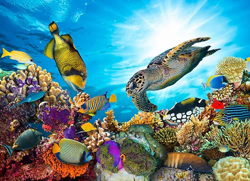 Papermoon Fototapete »Coral Reef Fiji« glatt günstig online kaufen