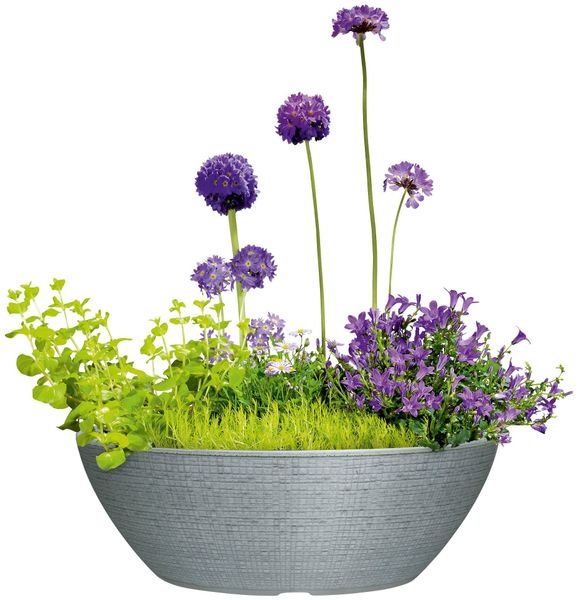Scheurich Blumentopf 60/298 BARCEO JARDINIERE günstig online kaufen