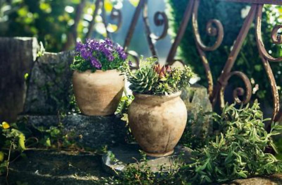 HOME Living Pflanztopf Terracotta Blumentöpfe natur günstig online kaufen