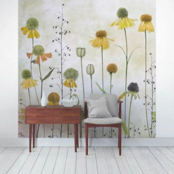 Bilderwelten Vliestapete Zarte Helenium Blüten creme Gr. 288 x 288 günstig online kaufen