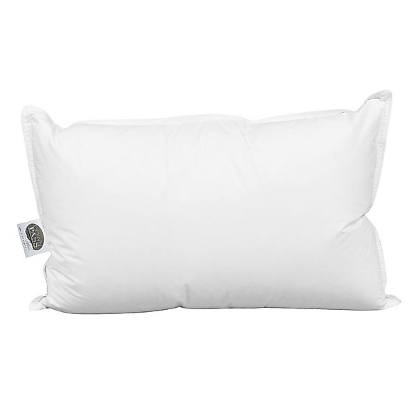 DormiGood Daunenkissen Premium 3-Kammern Daunenkissen, Extra günstig online kaufen