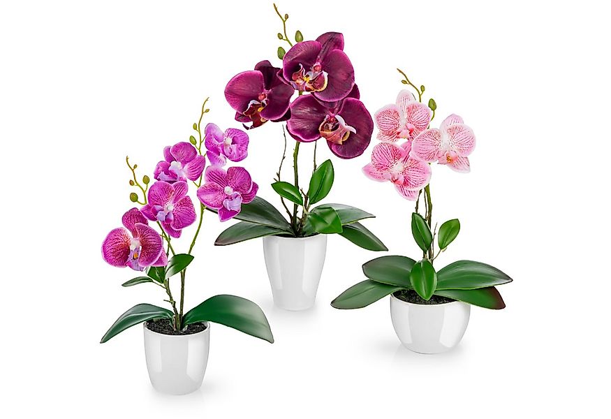 Kunstorchidee 3er Set künstliche Orchideen wie echt (35cm) in Hochglanz-Ker günstig online kaufen