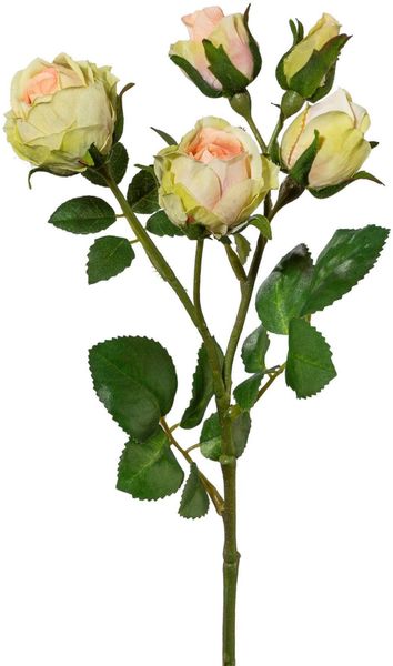 Kunstblume, Creativ green, Höhe 39 cm, günstig online kaufen