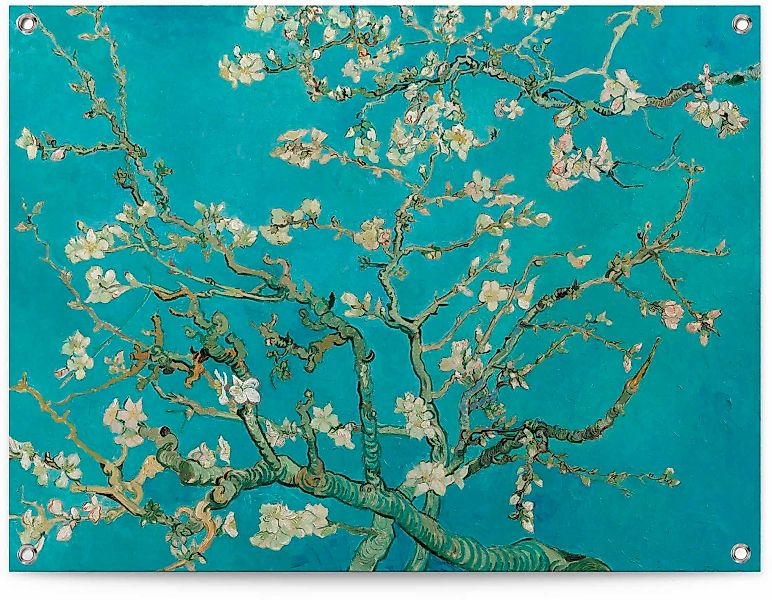 Reinders Poster "Mandelblüte - Vincent van Gogh" günstig online kaufen