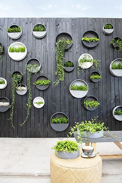 finestgreen Pflanzkübel Hanging Wally Wandgefäß, aus günstig online kaufen