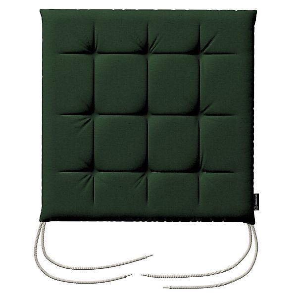 Stuhlkissen Jonas mit Bindeschnur, dunkelgrün, 40 x 40 x 3,5 cm, Quadro (14 günstig online kaufen