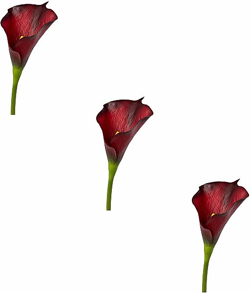Creativ green Kunstblume "Calla" günstig online kaufen
