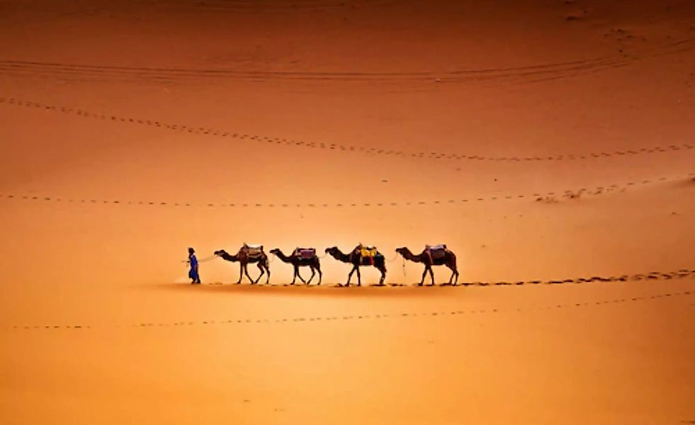 Papermoon Fototapete »kamele in Wüste« günstig online kaufen