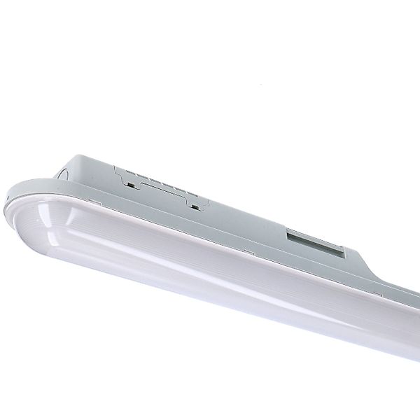 proventa LED Deckenleuchte LED-Feuchtraumleuchte, LED, 118 günstig online kaufen