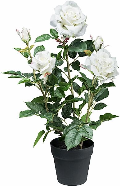 Kunstblume Rosenbusch Rose, Creativ green, Höhe günstig online kaufen