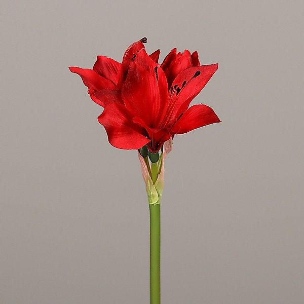 Kunstpflanze DPI Amaryllis rot 51 cm, günstig online kaufen