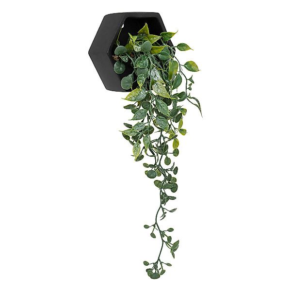 Kunstpflanze Zimmerpflanze, Atmosphera Créateur d'intérieur, Höhe günstig online kaufen