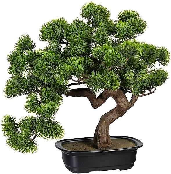Creativ green Kunstbonsai »Bonsai Kiefer« günstig online kaufen