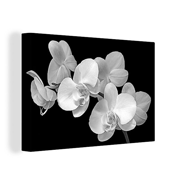 OneMillionCanvasses® Leinwandbild Eine Nahaufnahme von Orchideen günstig online kaufen