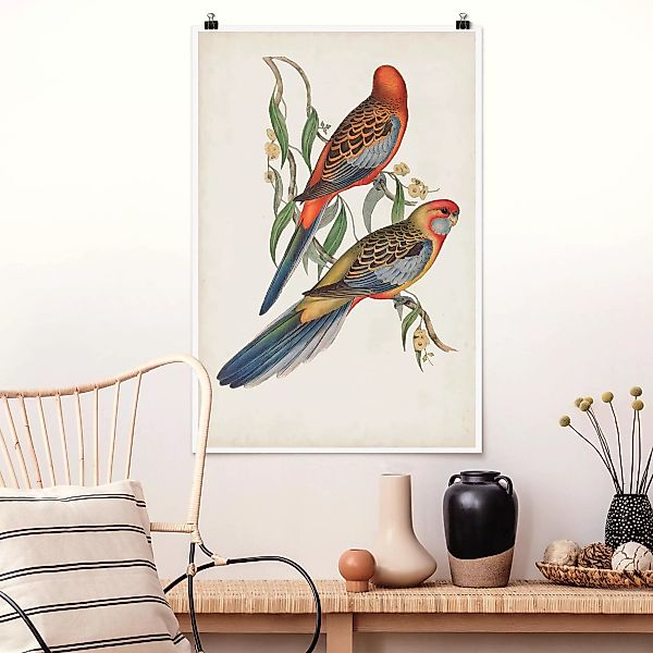 Poster Tiere - Hochformat Tropische Papageien II günstig online kaufen
