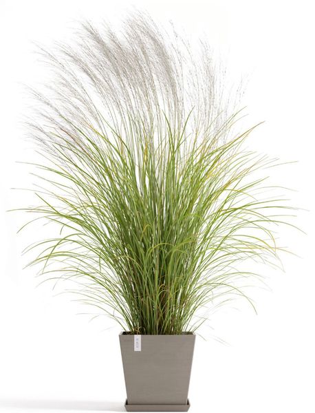 ECOPOTS Blumentopf Rotterdam 35 + Wassersystem günstig online kaufen