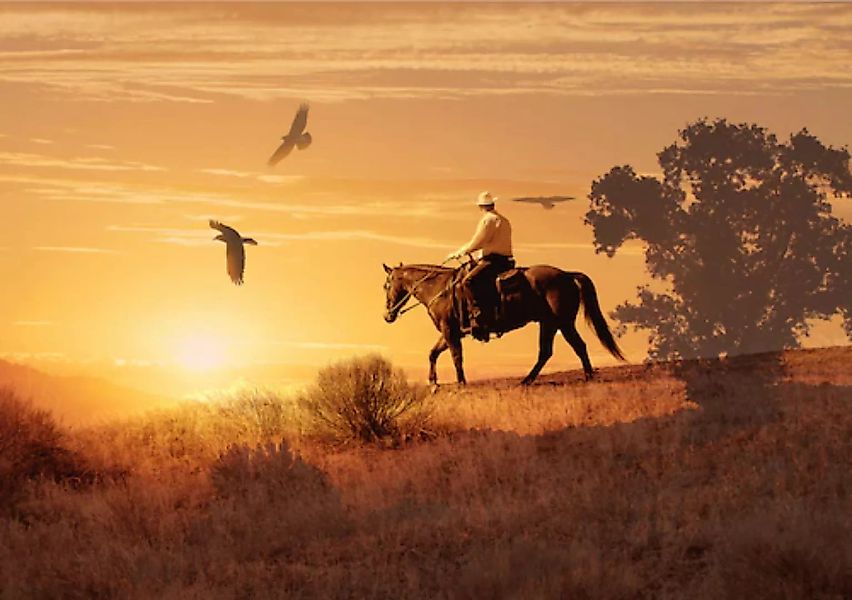 Papermoon Fototapete »Cowboy« günstig online kaufen