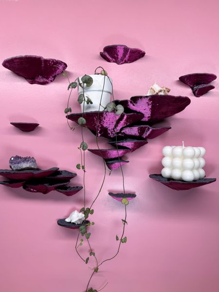 Roomberry Deko-Wandregal Trameten Pilzwandregal Bundle - günstig online kaufen