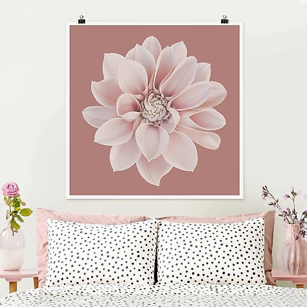 Poster Dahlie Beigerot Rosa günstig online kaufen