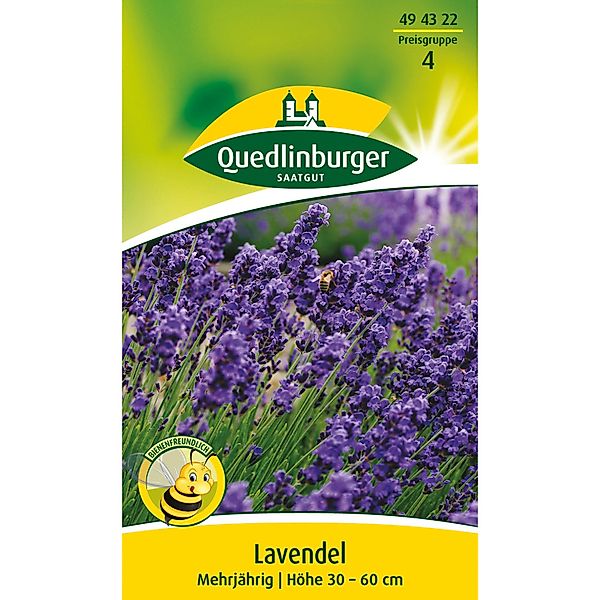 Quedlinburger Lavendel günstig online kaufen