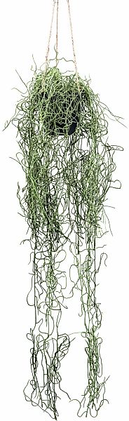 Künstliche Zimmerpflanze Splitphilodendron-Hängepflanze Grünpflanze, Creati günstig online kaufen