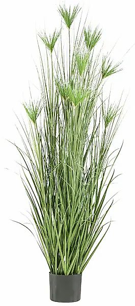 Creativ green Kunstgras »Zyperngras«, mit sieben Zyperngrasblüten günstig online kaufen