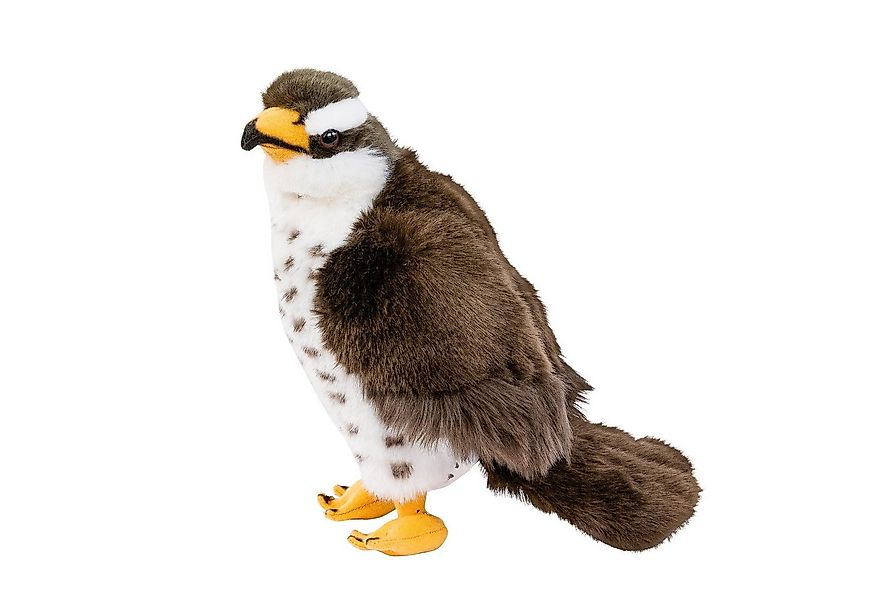 Teddys Rothenburg Kuscheltier Falke 23 cm braun/grau/weiß Plüschvogel Stoff günstig online kaufen