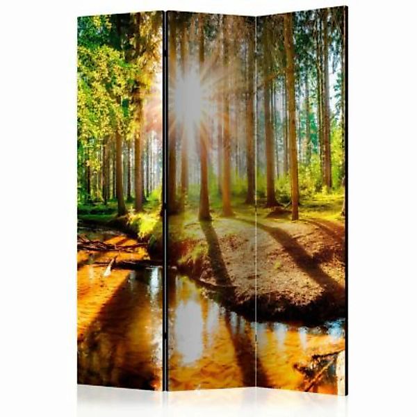artgeist Paravent Marvelous Forest [Room Dividers] mehrfarbig Gr. 135 x 172 günstig online kaufen