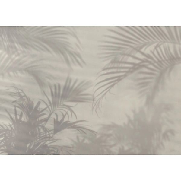 Komar Vliestapete Lumiere 350 cm x 250 cm günstig online kaufen