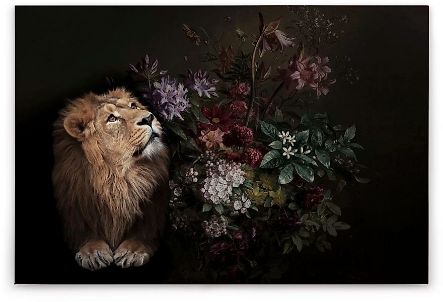 A.S. Création Leinwandbild "wildlife", Tiere, (1 St.) günstig online kaufen