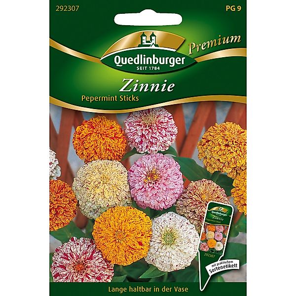 Quedlinburger Zinnien Pepermint Sticks Loses Saatgut günstig online kaufen