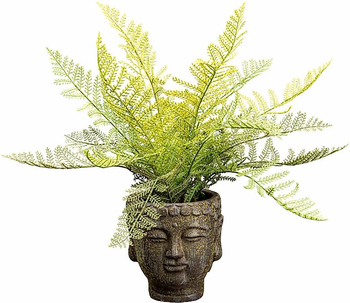 Kunstpflanze Farnbusch Farn, Creativ green, Höhe günstig online kaufen