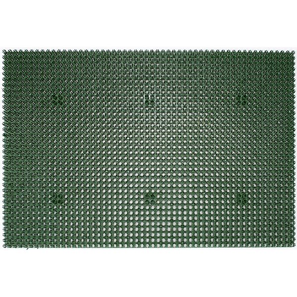 Astra Fußmatte Season 40 x 60 cm Grün günstig online kaufen