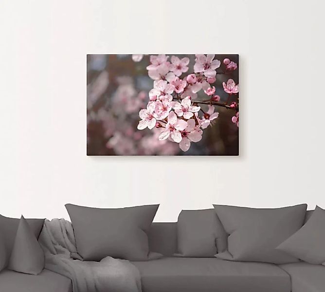 Artland Leinwandbild "Kirschblüten Nahaufnahme im Sonnenlicht", Blumen, (1 günstig online kaufen